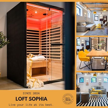 Luxurioeses 100M2 Loft Mit Sauna & Parkplatz - Platz Fuer 4 Personen 비스바덴 외부 사진